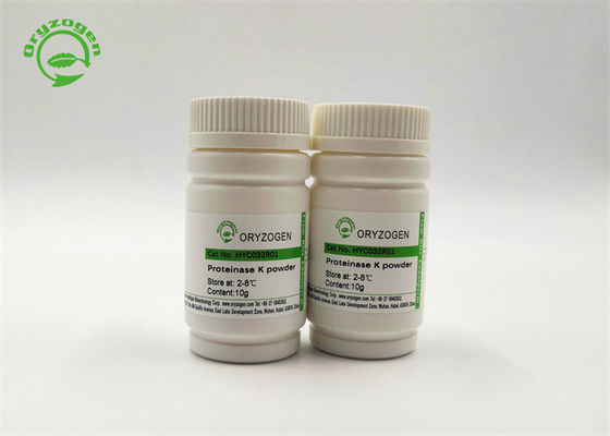 La proteinasi recombinante K del reagente della ricerca ha liofilizzato la polvere HYC032R03