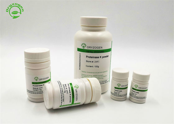 Rifornimento in serie 39450-01-6 della proteinasi K degli enzimi di purificazione del RNA &amp; del DNA