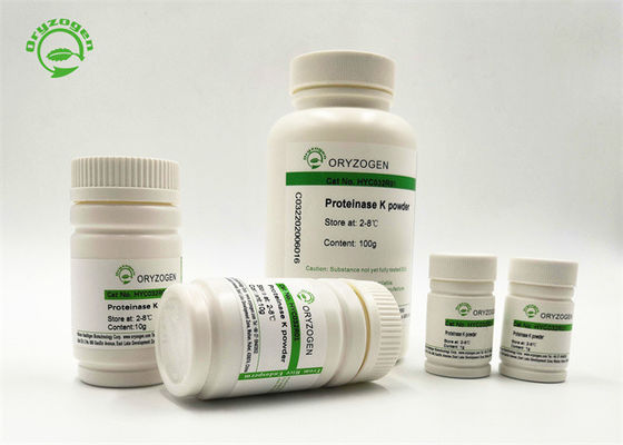 Il grado recombinante di PCR della proteinasi K di Oryzogen 29kDa ha liofilizzato la polvere dal pichia pastoris