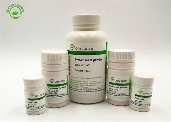 Proteinasi recombinante K di alta bioattività per l'estrazione di DNA genomico