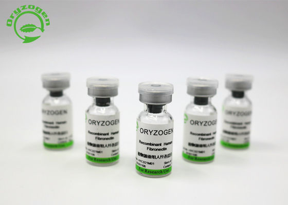 Il bianco sporco recombinante di In Cell Culture Fibronectin dell'agente di rivestimento ha liofilizzato la polvere OsrhFN