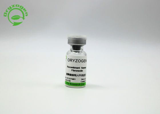 Oryzogen Fibronectin recombinante migliora la prestazione 206kD della coltura cellulare