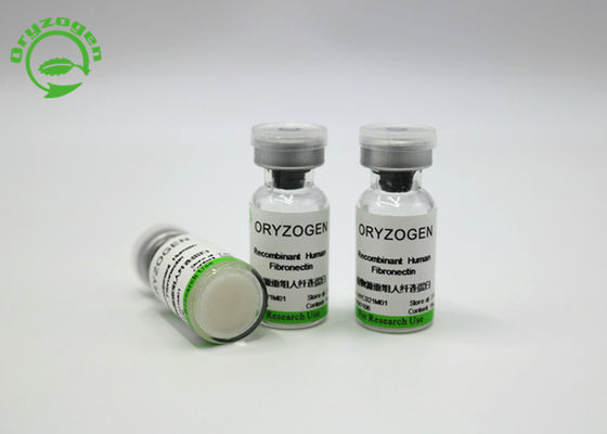Elevata purezza Fibronectin recombinante F-N di 220 KDa per coltura cellulare HYC021M01 medio