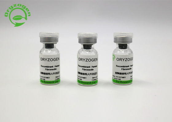 Elevata purezza libera componente animale Fibronectin recombinante F-N dal Oryza sativa