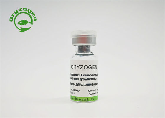 VEGF recombinante libero componente animale per coltura cellulare