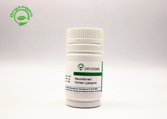 Polvere recombinante del lisozima di elevata purezza per le applicazioni antimicrobiche 9001-63-2