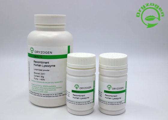 Il lisozima recombinante Lyz del trattamento di diarrea ha liofilizzato la polvere 50g