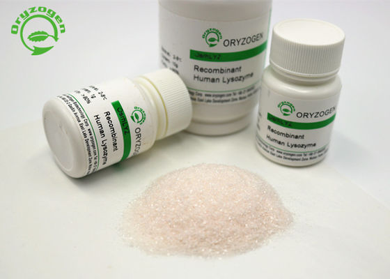 Il lisozima recombinante Lyz del trattamento di diarrea ha liofilizzato la polvere 50g