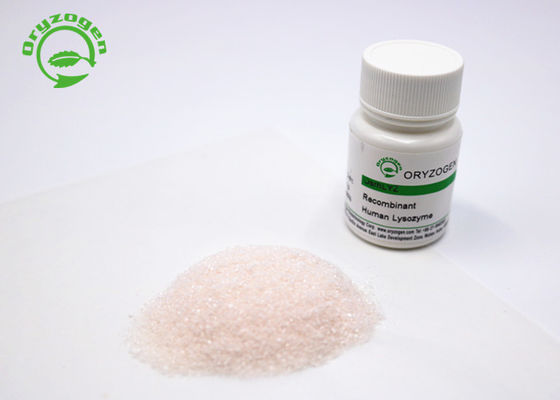 Proteina recombinante di elevata purezza 14.7kD del lisozima recombinante libero animale