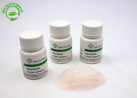 La polvere recombinante del lisozima di Oryzogen dalla piattaforma del riso ammassa rifornimento CAS No 9001-63-2