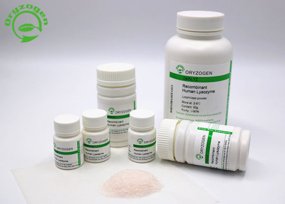 La polvere recombinante del lisozima di Oryzogen dalla piattaforma del riso ammassa rifornimento CAS No 9001-63-2