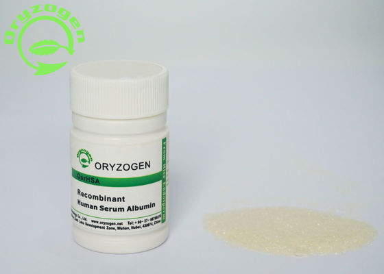 Il Oryza OsrHSA sativa ha liofilizzato la polvere ISO9001 diplomato