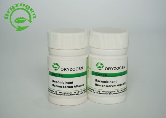 Il riso di Oryzogen ha derivato l'albumina umana recombinante CAS 70024-90-7