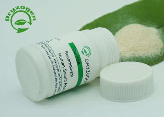 Albumina recombinante libera animale per bioindustria