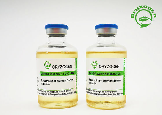 Albumina umana recombinante 50mL liquido del grado dell'eccipiente con concentrazione di 20%