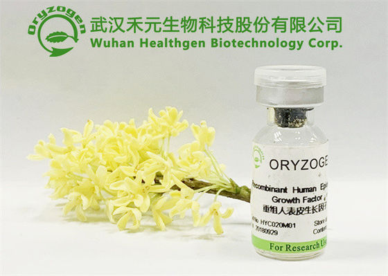 Origine vegetale nessun ingredienti cosmetici liberi di fragranza irritante EGF