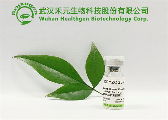 L'industria cosmetica EGF bianco ha liofilizzato la polvere CAS 62229-50-9