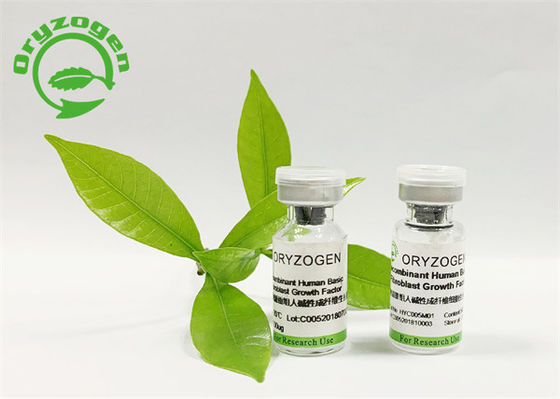 Gli ingredienti cosmetici sativa FGF di base del Oryza hanno liofilizzato la polvere