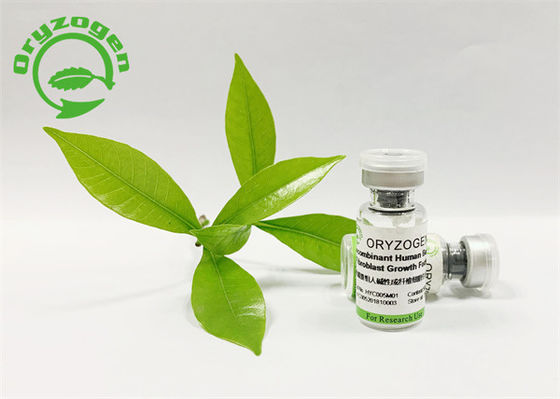 Pianta antinvecchiamento di fattore di crescita del bFGF derivata con alta bioattività