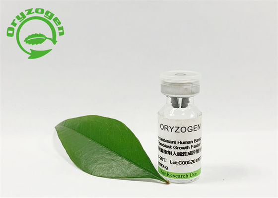 Il Oryza insipido FGF di base sativa della purezza di 95% ha liofilizzato la polvere