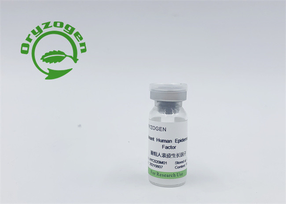 Doppia efficacia EGF e componente non animale di purezza del bFGF 95%