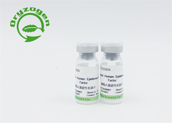 Il bFGF recombinante della proteina di EGF ha liofilizzato la polvere