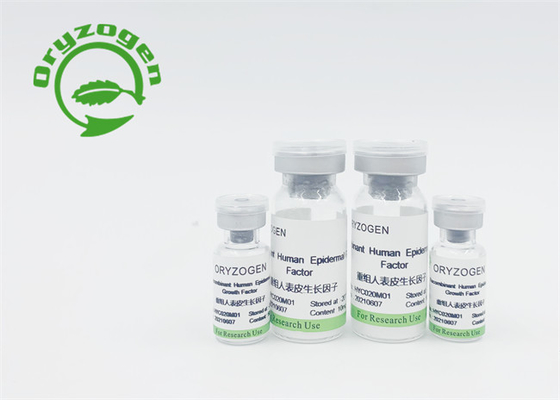 Fattore di crescita recombinante libero componente animale EGF