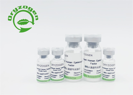 L'elevata purezza EGF ha liofilizzato l'iso 9001 della polvere ha certificato per cura di bellezza