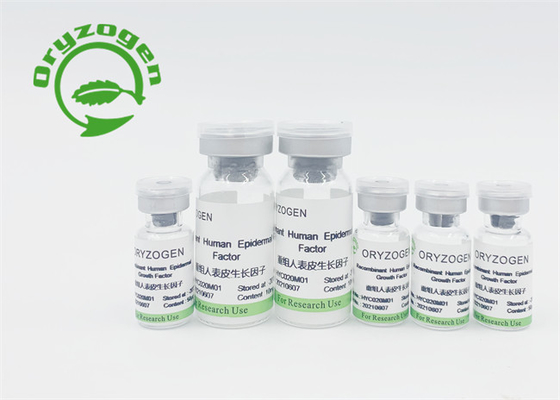 L'alta bioattività EGF derivato pianta ha liofilizzato la polvere per pelle rinnova/riparazione