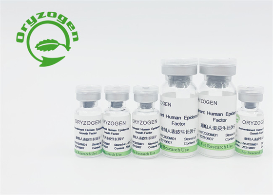 Il fattore di crescita insipido EGF ha liofilizzato la polvere per la promozione della crescita delle cellule epidermiche della pelle