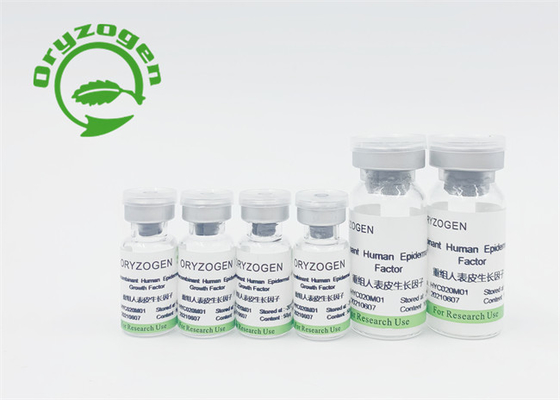 Siero epidermico recombinante di fattore di crescita per Skincare
