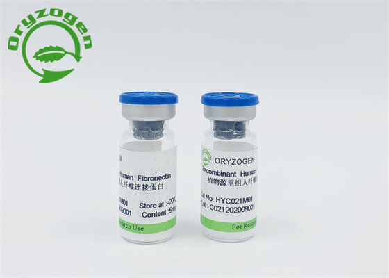 Nessuna componente animale allergica Fibronectin libero F-N della pelle