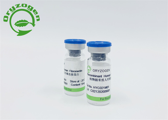 Il grano del riso ha derivato Fibronectin F-N con l'endotossina bassa