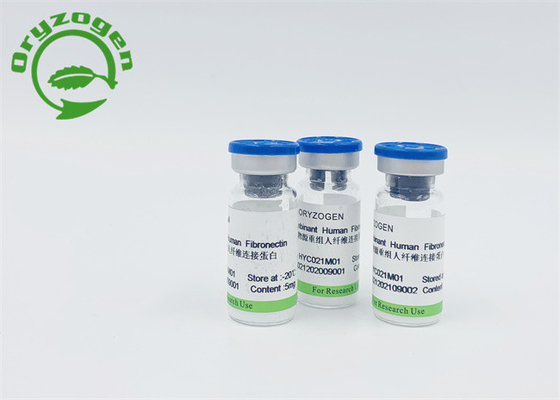 Fibronectin F-N ha liofilizzato la polvere per la nutrizione della pelle