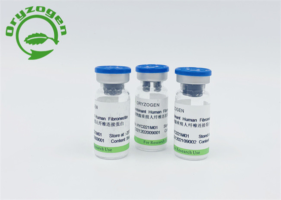 Più alta bioattività Fibronectin F-N per la promozione della rigenerazione delle cellule e riparare