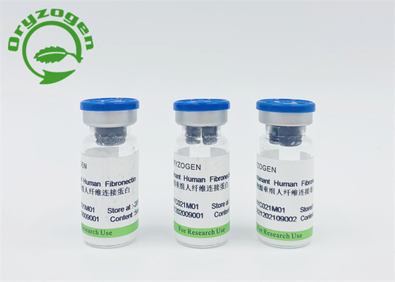 Ricombinante libero componente animale Fibronectin umano CAS 86088-83-7