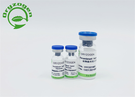 Il sangue non in polvere ha derivato Fibronectin umano recombinante