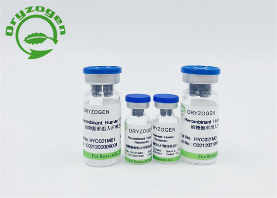 Siero Fibronectin umano recombinante libero del grano del riso 86088-83-7