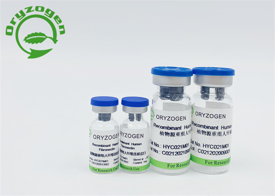 Il ricombinante sativa Fibronectin umano del Oryza ha liofilizzato la polvere