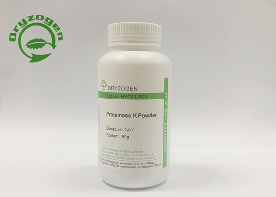 Proteina recombinante liquida e liofilizzata della raccolta della proteinasi K della polvere
