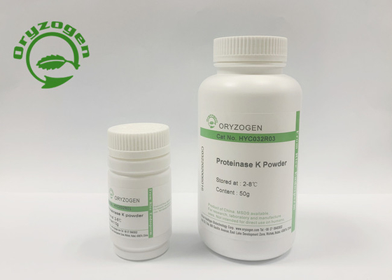 Il pichia pastoris ha derivato la proteina recombinante della raccolta della proteinasi K inattiva la nucleasi