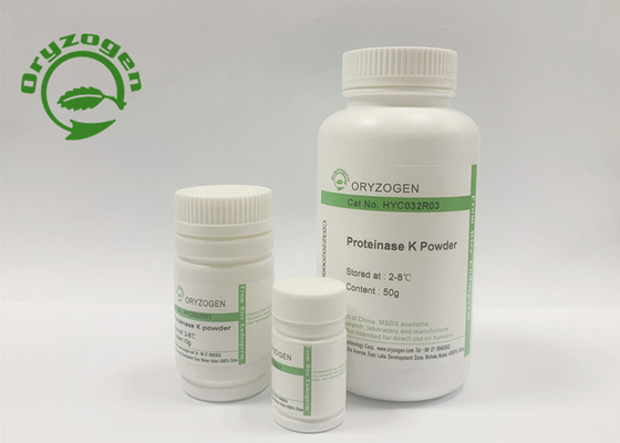 Proteinasi recombinante K del rifornimento stabile per i vaccini del polisaccaride