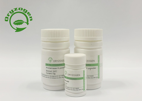 80kg/month proteinasi recombinante K per l'estrazione del RNA