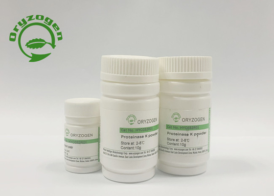 Proteinasi recombinante K per l'estrazione acida nucleica Covid-19