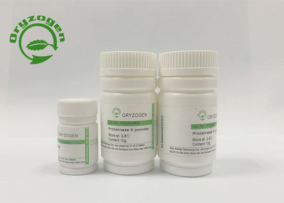La chinasi della proteinasi di ricombinante 01 - 6 di CAS No 39450 – digerisce varie proteine
