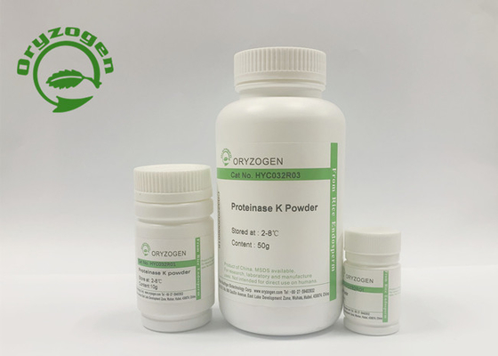 Proteinasi recombinante K di attività specifica di più maggior di 40 U/MgP per l'estrazione del DNA